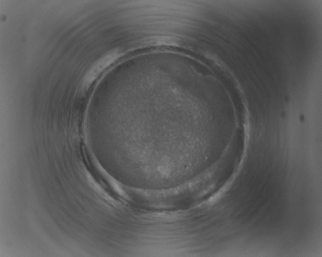 X0000052570977200507011216