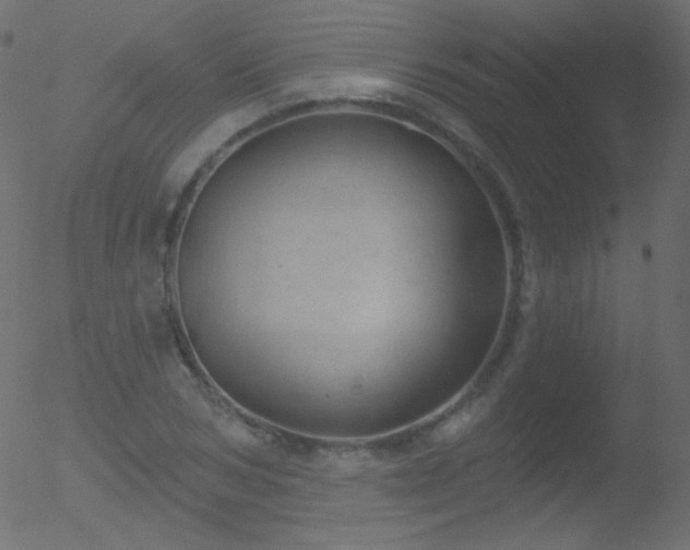 X0000052570978200507011216