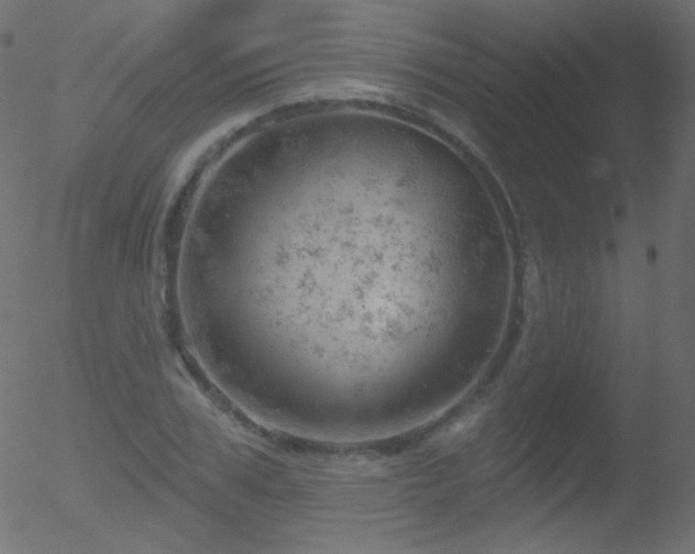 X0000052570979200507011216