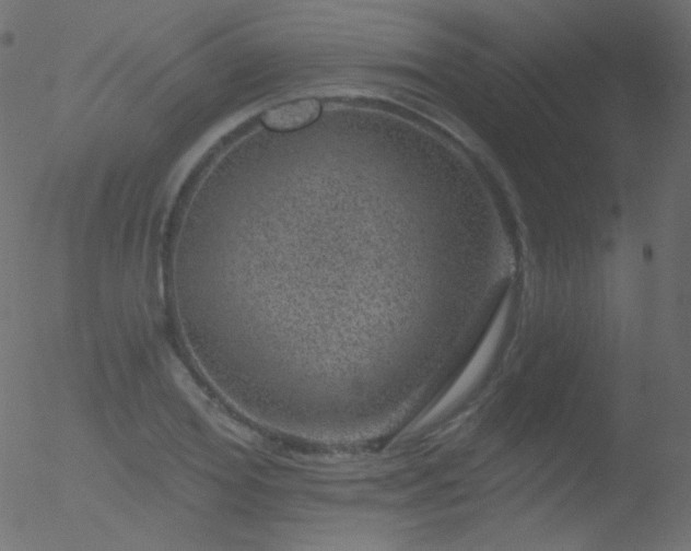 X0000052570980200507011216