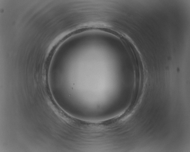 X0000052570981200507011216