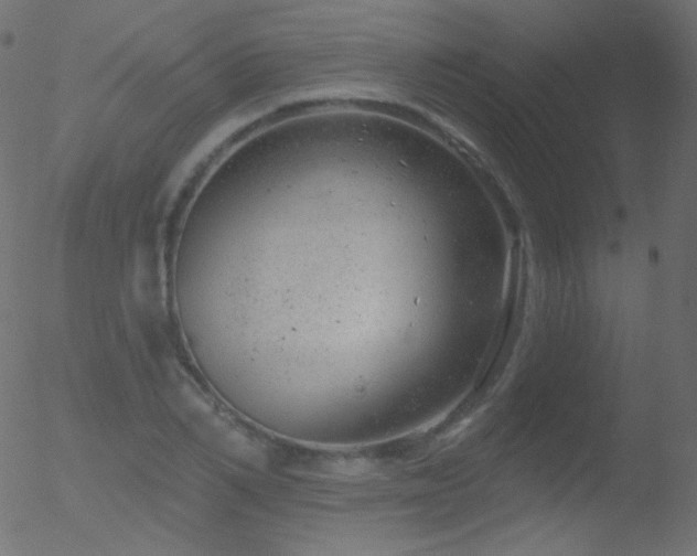 X0000052570982200507011216