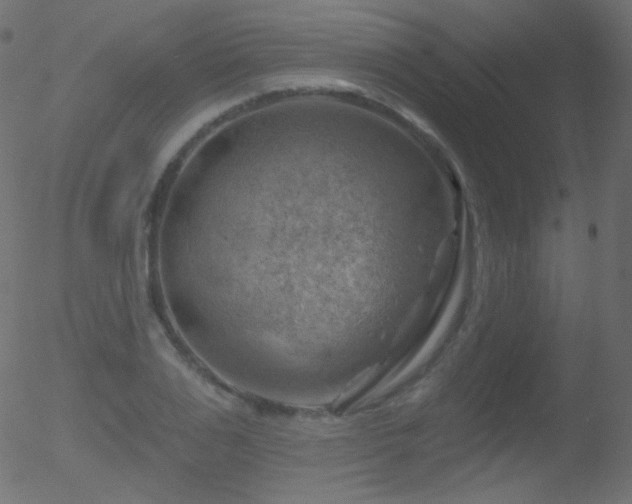 X0000052570983200507011216