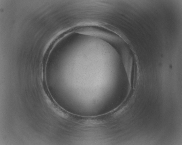 X0000052570984200507011216