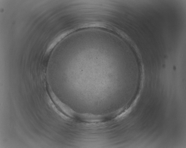 X0000052570985200507011216