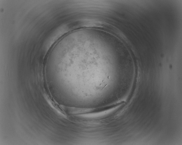 X0000052570986200507011216