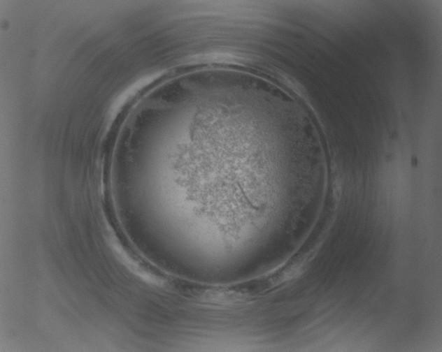 X0000052570987200507011216