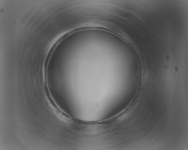 X0000052570988200507011216