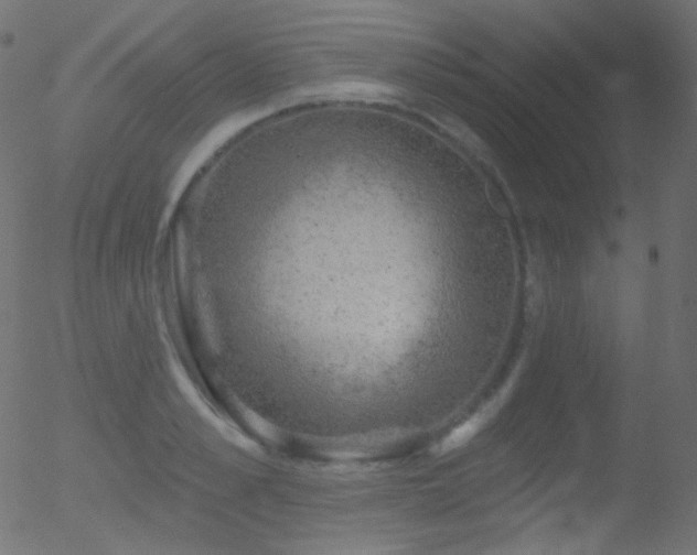 X0000052570989200507011216