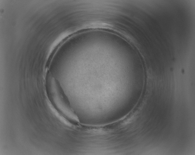 X0000052570990200507011216