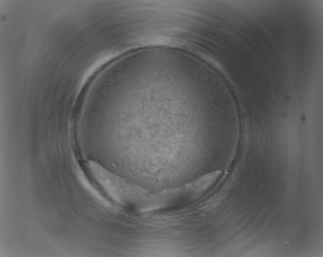 X0000052570991200507011216