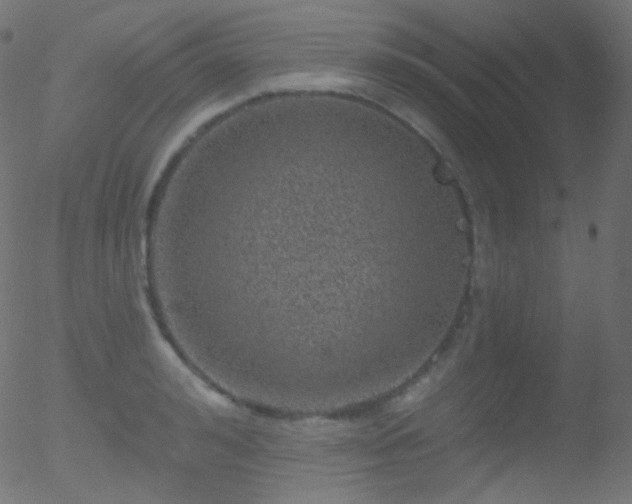 X0000052570992200507011216