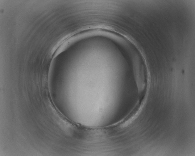 X0000052570993200507011216