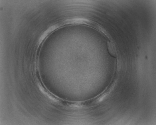 X0000052570994200507011216