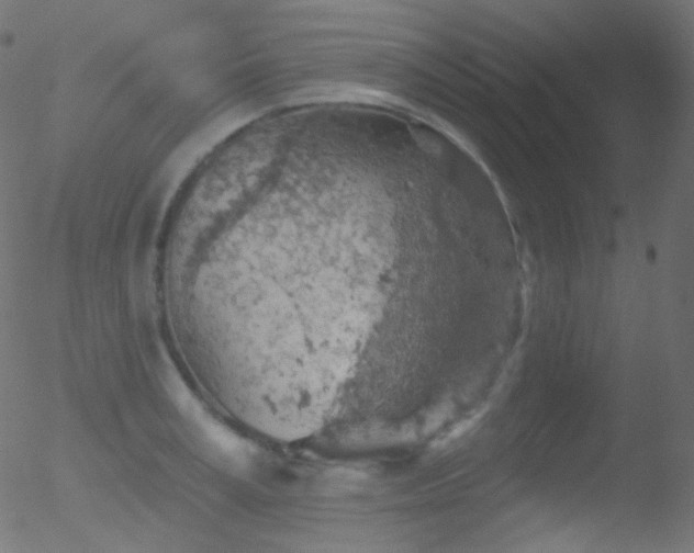 X0000052570995200507011216