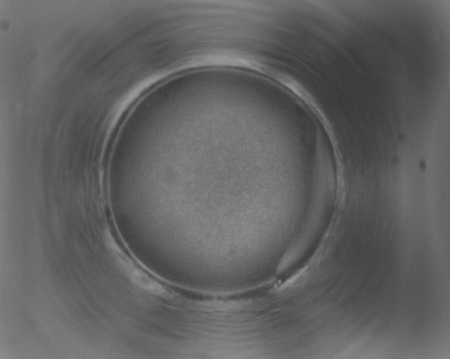 X0000052570996200507011216