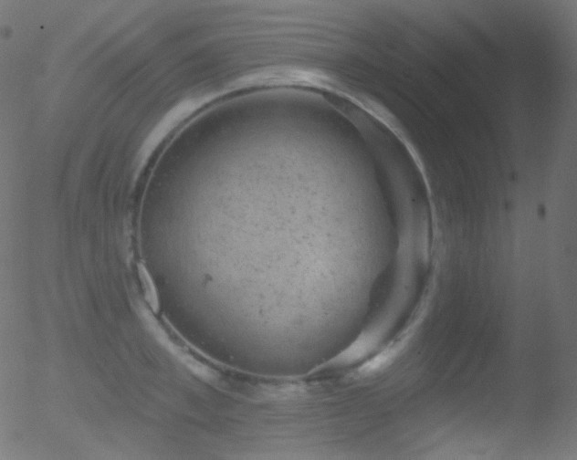 X0000052570997200507011216