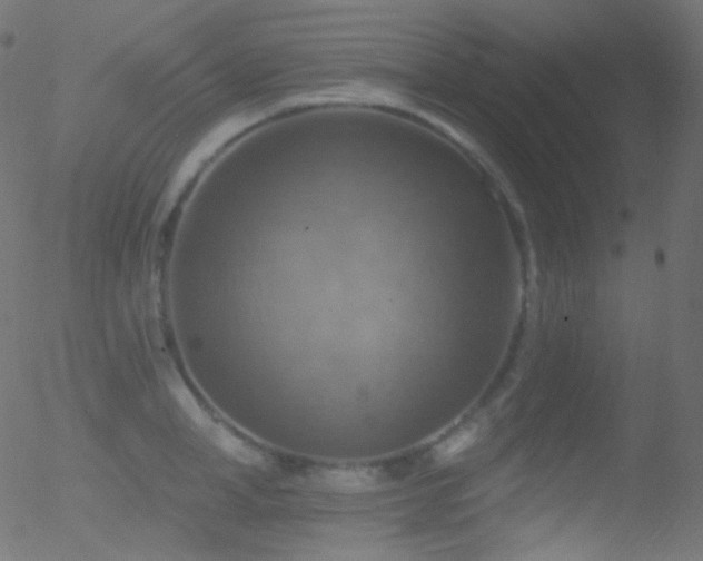 X0000052570998200507011216