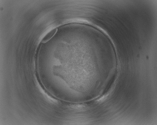 X0000052570999200507011216