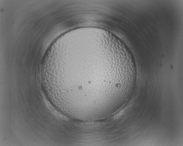 X0000052571000200507011216