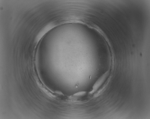 X0000052571002200507011216