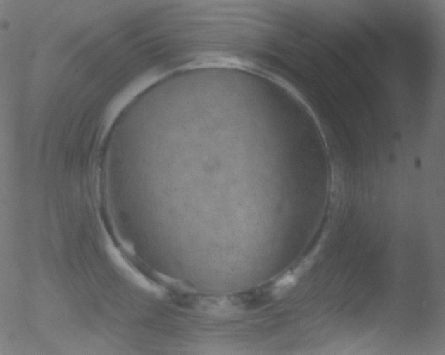 X0000052571003200507011216