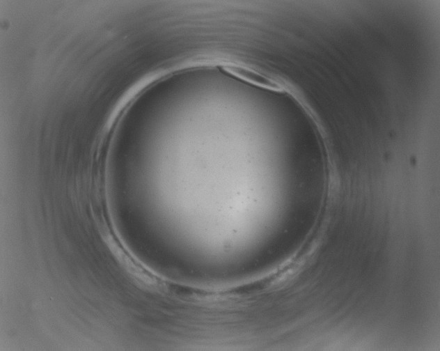 X0000052571004200507011216