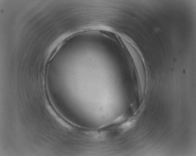 X0000052571005200507011216