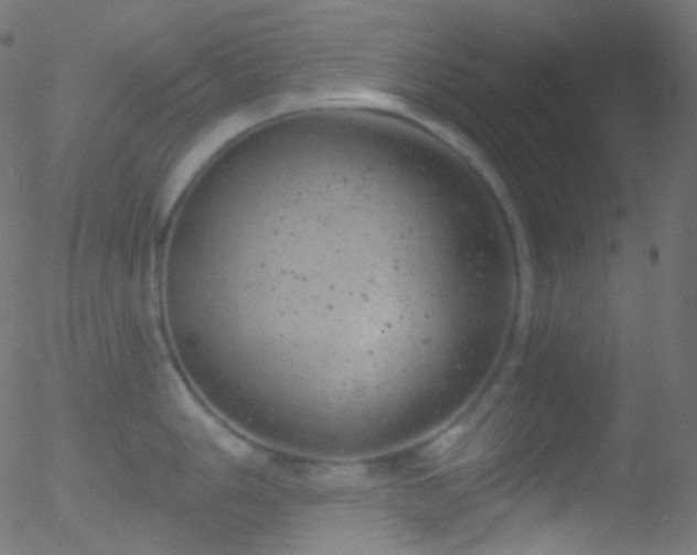 X0000052571006200507011216