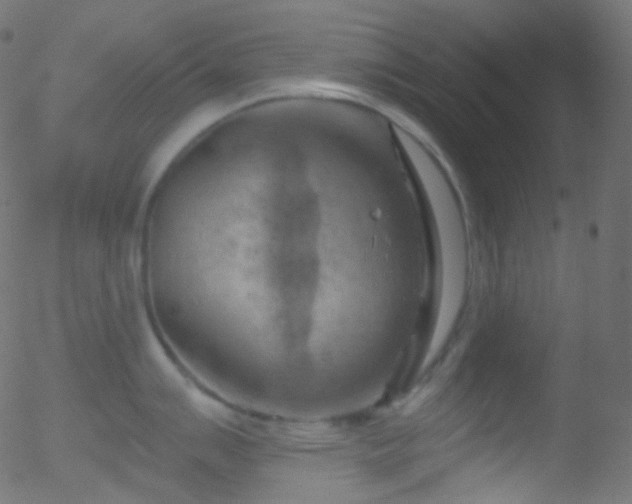 X0000052571007200507011216