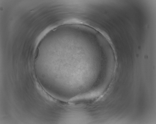 X0000052571008200507011216