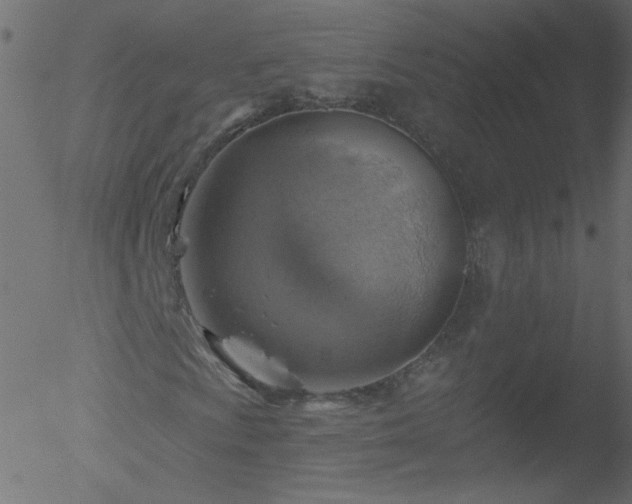 X0000052571009200507011215