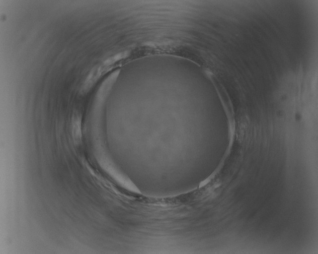 X0000052571010200507011215