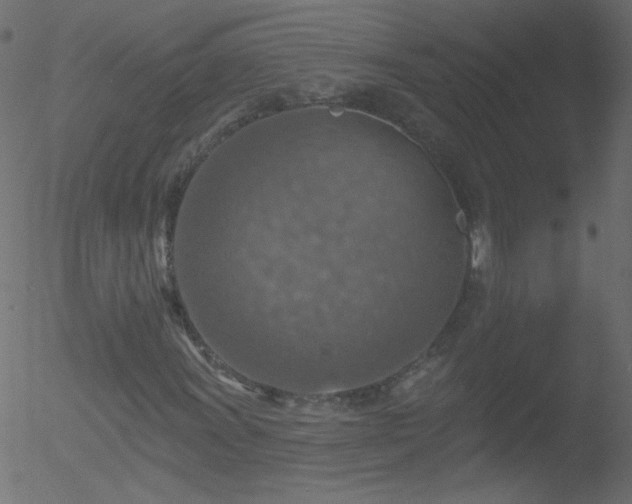 X0000052571011200507011215