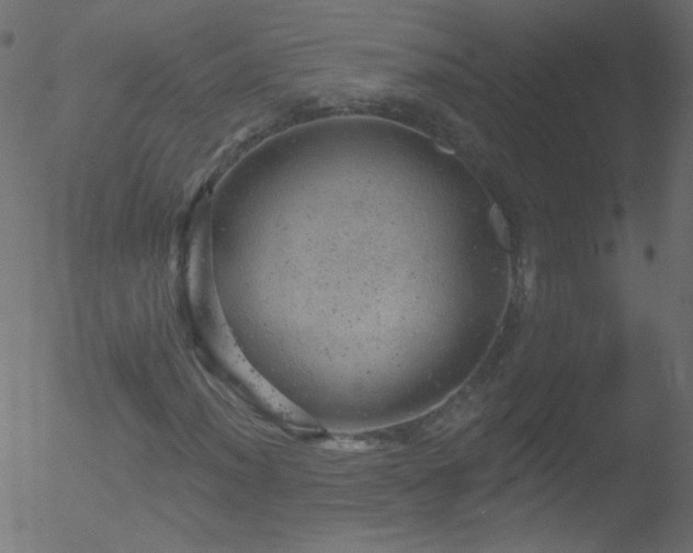 X0000052571012200507011215