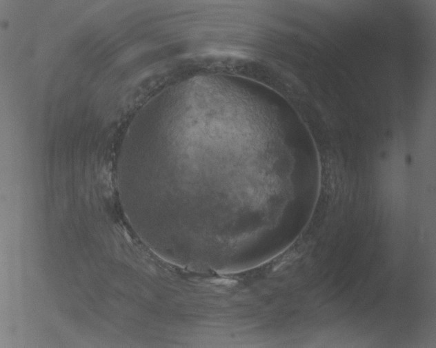 X0000052571013200507011215