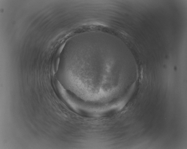 X0000052571014200507011215