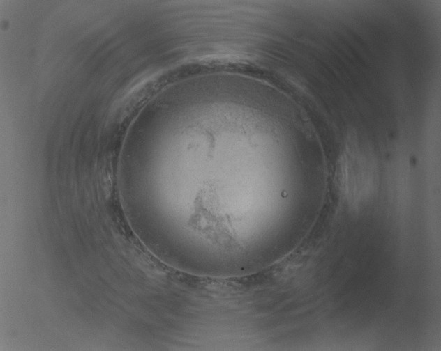 X0000052571015200507011215