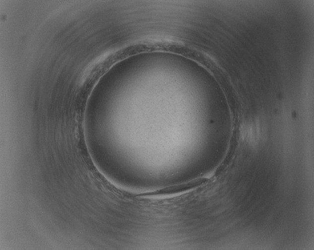 X0000052571016200507011215