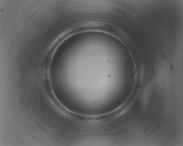 X0000052571017200507011215