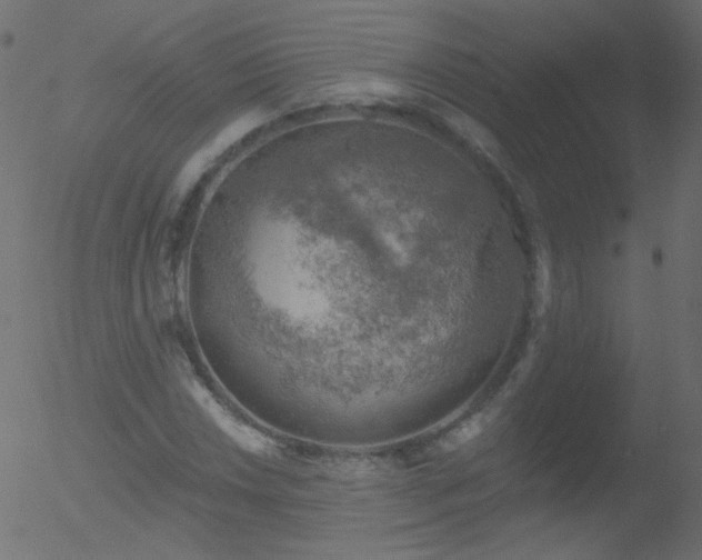 X0000052571018200507011215