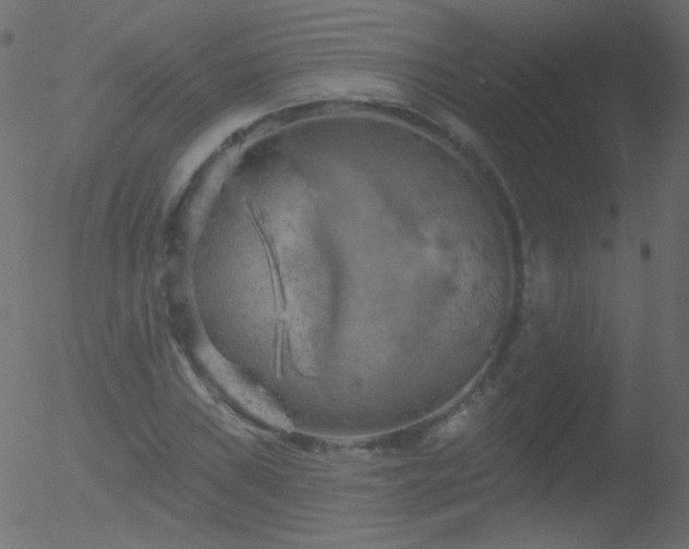 X0000052571019200507011215