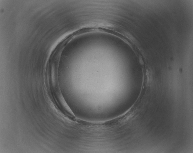 X0000052571020200507011215