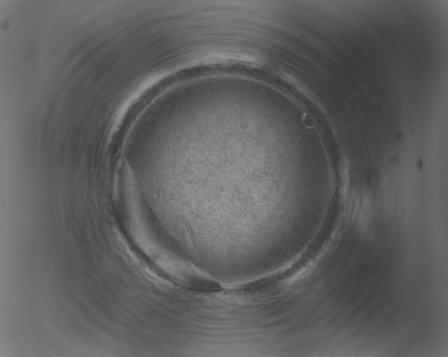 X0000052571021200507011215