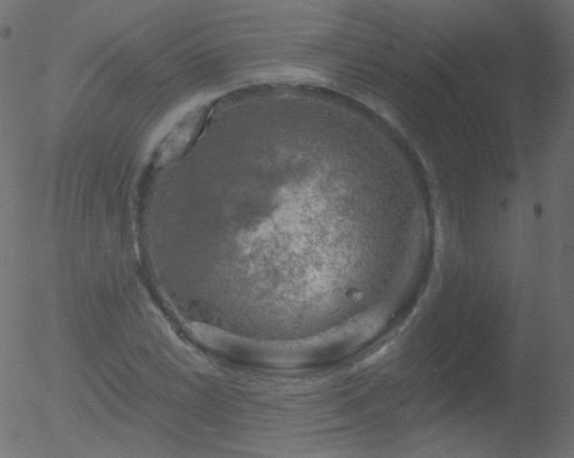 X0000052571022200507011215