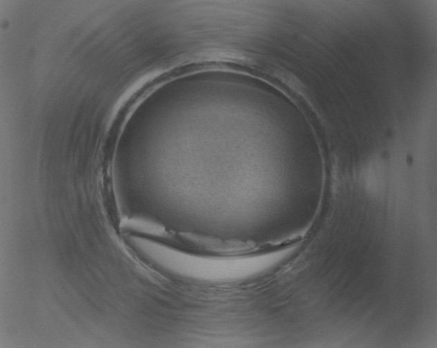 X0000052571024200507011215