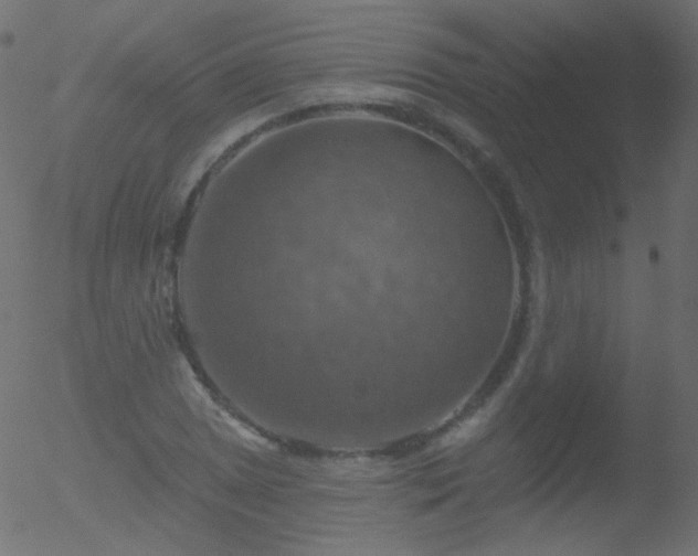 X0000052571025200507011215