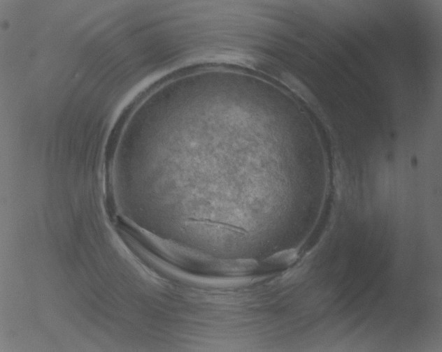 X0000052571028200507011215