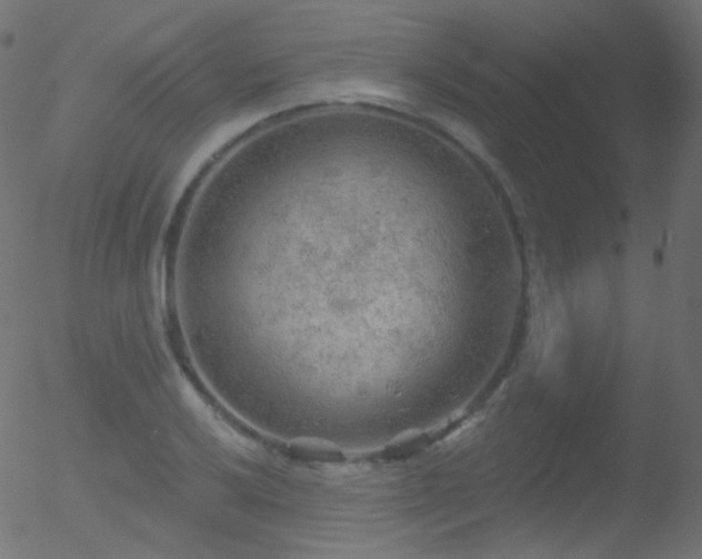 X0000052571032200507011215