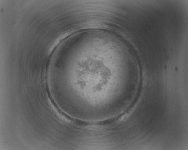 X0000052571033200507011215